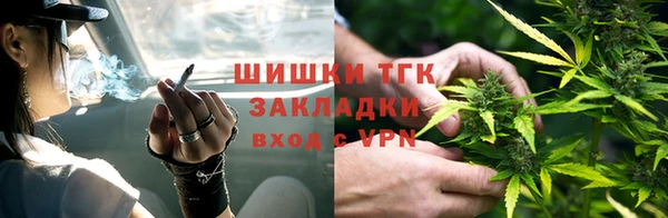 Альфа ПВП Аркадак