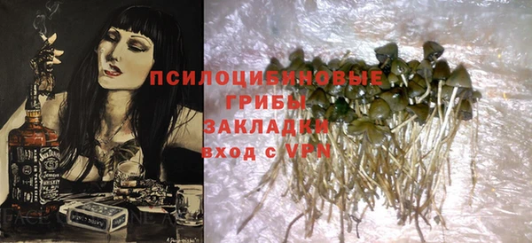 Альфа ПВП Аркадак