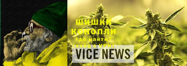 Альфа ПВП Аркадак